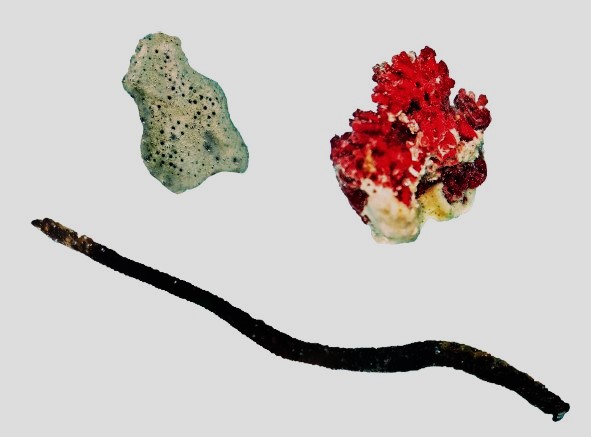 Gems from the Deep-Unveiling Malaysia's Marvelous Coral Treasures